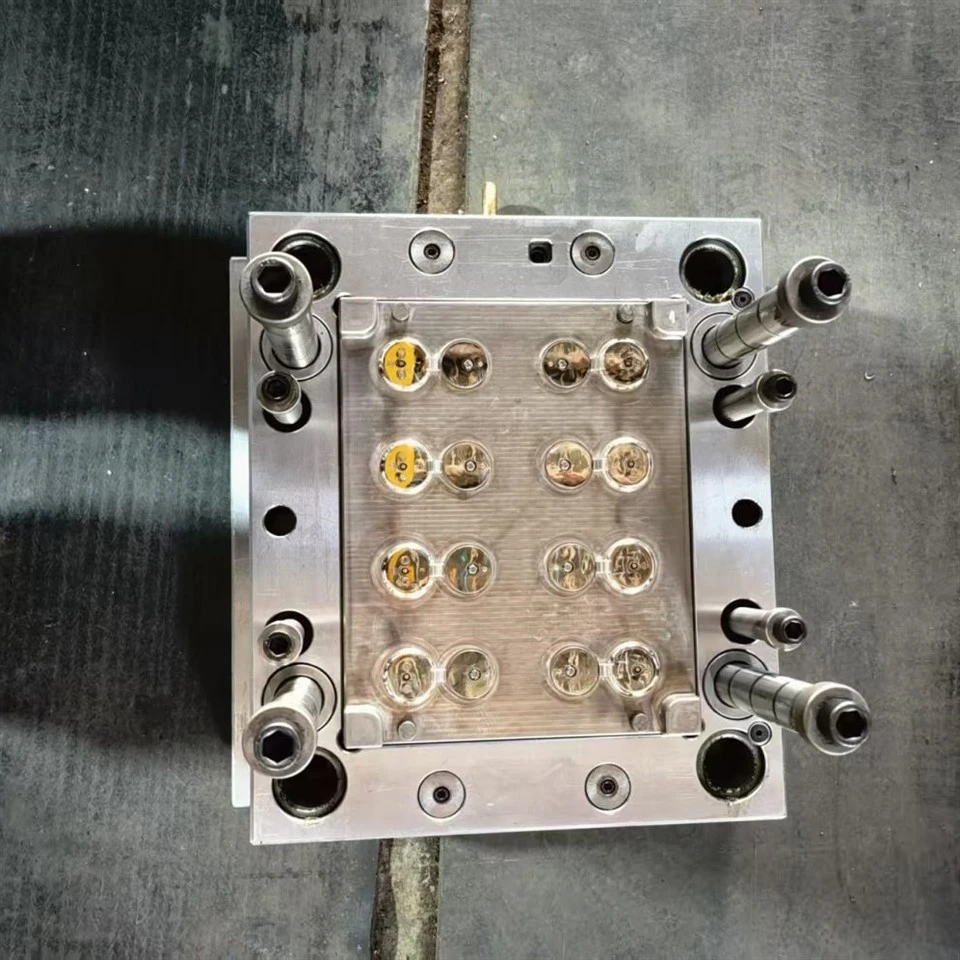 info-1-1 Flip Top Cap Mold